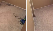 Carpet Cleaning Before and After.jpg